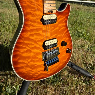 EVH Wolfgang USA 2010 - Tobacco burst image 3