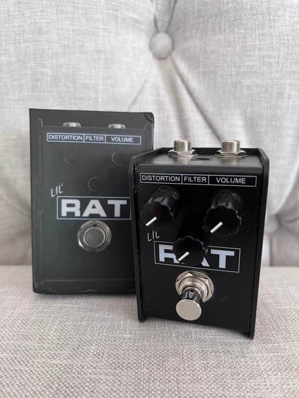 ProCo Lil' Rat