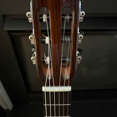 Cordoba Fusion Orchestra 12 Cutaway Nylon String 2026 - Glossy Solid Cedar Top, Rosewood Sides and Back image 4