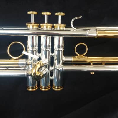 New Carol Brass CTR-5000L-GST-Bb-SRL Mariachi Model Bb Trumpet - Silver Plate/Gold Lacquer with Case image 9