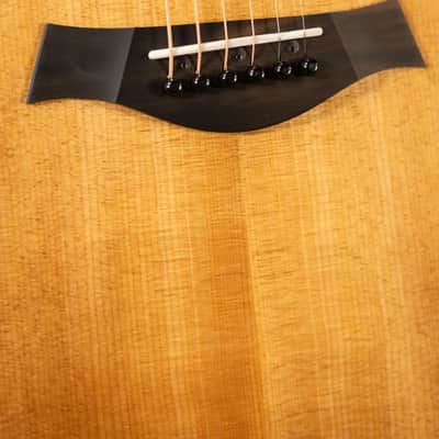 Taylor 210ce Plus Dreadnought Acoustic/Electric Guitar with Aerocase image 10