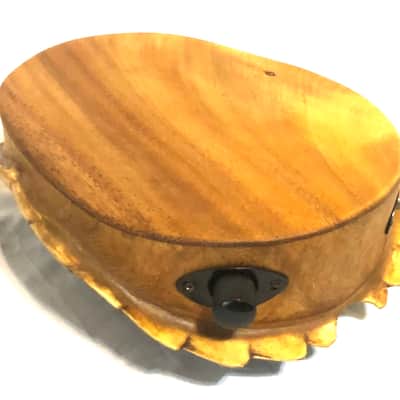 Electric turtle shell space drum | Reverb