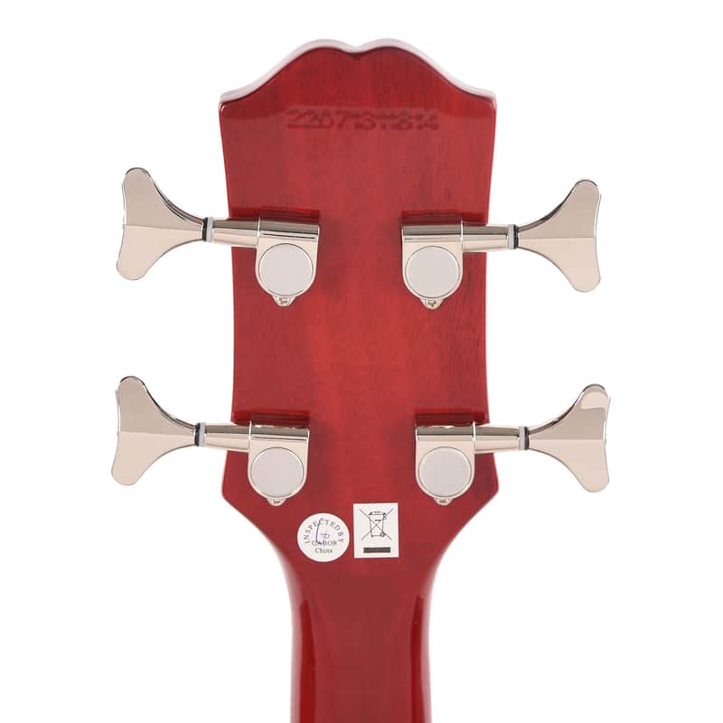 Epiphone Newport Bass 2023 - Present image 6