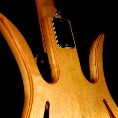 AMPEG ASB1 1966 Natural. The DEVIL BASS. Extremely Rare & Collectible. Pure Art. image 23