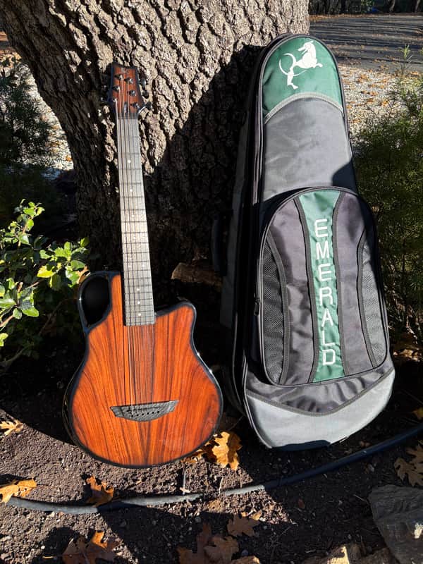 Emerald X10 Custom 2021 - Carbon Fiber with wood overlay image 1