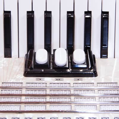 Accordion Walther Teeny 48 white used image 7