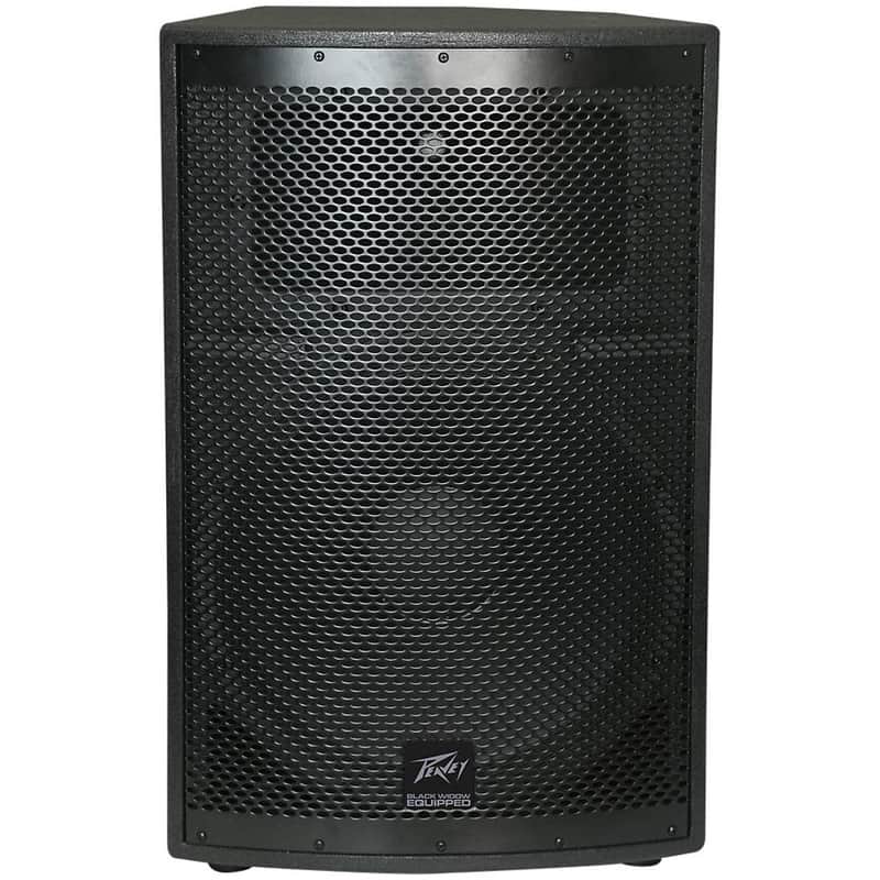 Peavey SP 2 2-Way 15" Speaker Regular image 1
