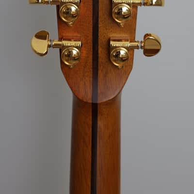 Zager ZAD900CE OM Style Acoustic Electric with Fishman Aura Pro Electronics + Case, Extra Strings & Strap image 10