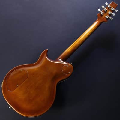 Aria ProII VINTAGE PE-R150 25th Anniversary image 6