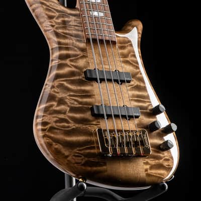 Spector USA Custom Shop Doug Wimbish Signature Series 5 String Faded Natural Gloss image 4