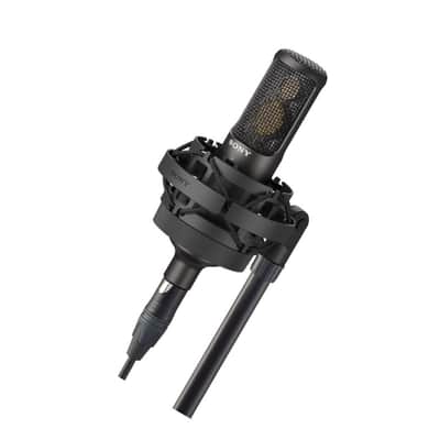 Sony Media C-100 Series Uni-Directional, Dual capsule, Two-Way High Resolution Condenser Microphone for Vocal and Musical Instruments Recording image 2