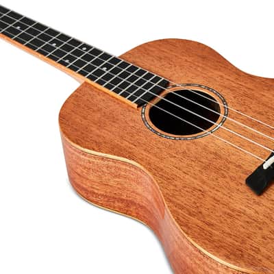 Snail SUB-M1 BARITONE UKULELE 2025 - Natural Gloss Mahogany Ref No 180 Workshop repair image 5