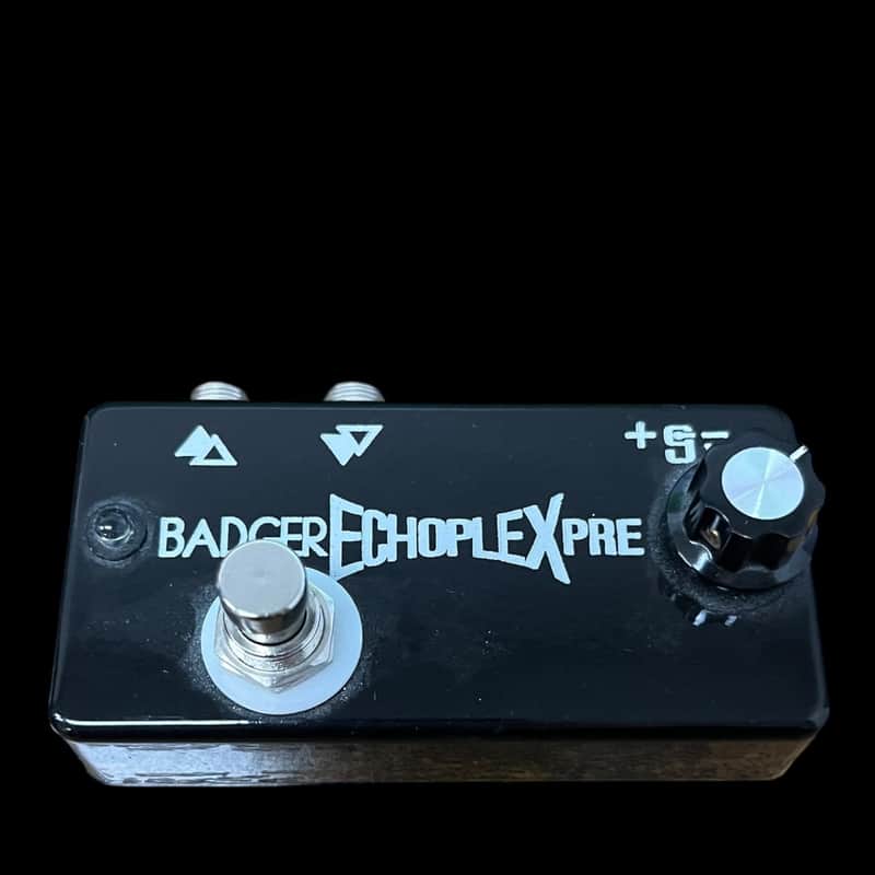 Badger Echoplex PRE Prototype image 1