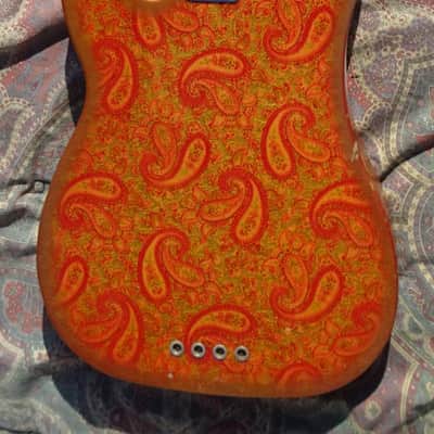 Fender Telecaster Bass 1968 Paisley image 7