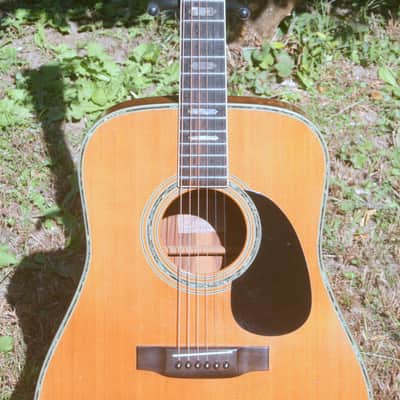 1978 Yairi  YW-600 Coral Rosewood(New Jacaranda ) Body Natural Bargain image 4