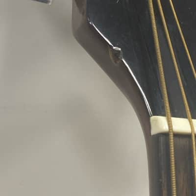 Epiphone PR-325S 1986 - 1988 - Natural image 6