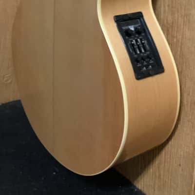 Alvarez 12 String image 9
