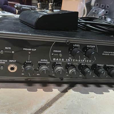 SWR Big Bertha 2x15 Bass Cabinet image 11