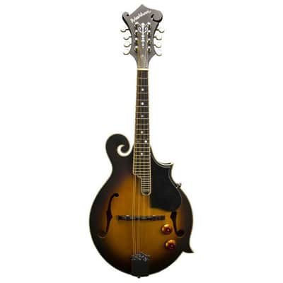 Washburn M3EK  F  Style Mandolin Pack with Spruce Top, Maple Back and Sides, 20 Frets, Maple Neck, Tobacco Sunburst image 5