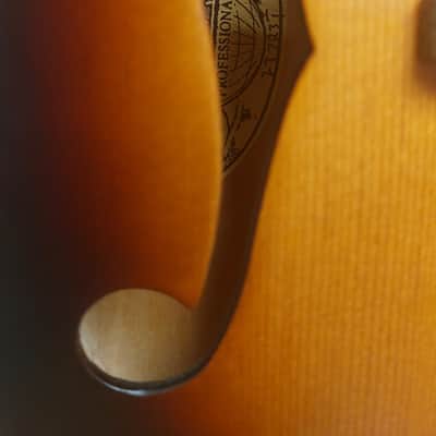 Ozark Model 'A' Mandolin image 3