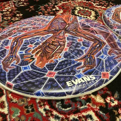 Evans Danny Carey 22"  Fear Inoculum “The Turning Man” #1 & #2  Bass Drum Head Set image 9