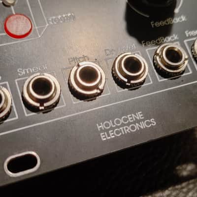 Holocene Electronics Non-Linear Memory Machine Eurorack Module Free Shipping! image 3