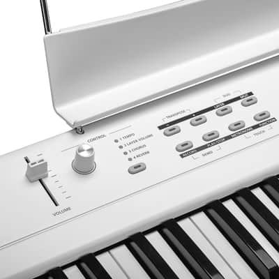 Kurzweil KAS1 White image 7