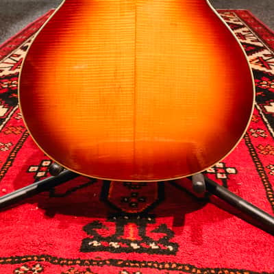Hofner Club 50 1960s Sunburst image 8