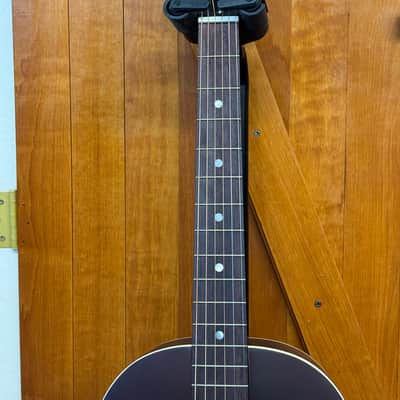 Recording King RPS-9P-TS Modified for Lap-Steel slide with pickup image 11