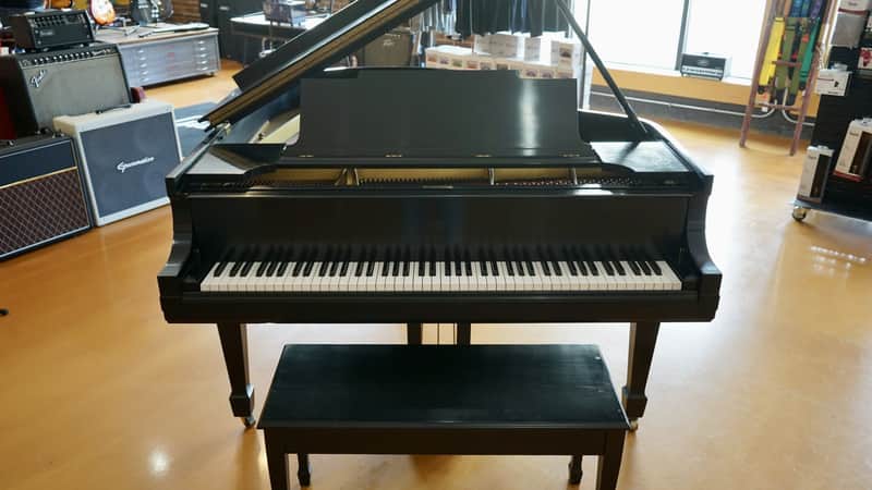1919 Steinway Model M Grand Piano