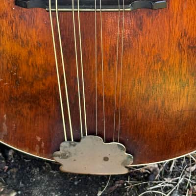 Vintage 1920’s Victoria “ Guaranteed Perfect Scale” Flatback Mandolin B&J New York-Solid Spruce Top- Mahogany Back & Sides- Made in USA image 7