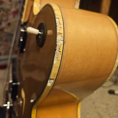 Ibanez FA300-NT FA 1977 - 1979 - Natural image 11