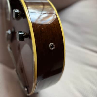 Vintage 1968 Epiphone Howard Roberts Custom image 23