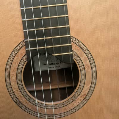 Steve Allen Solid Granadillo and Cedar classical guitar image 10
