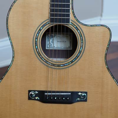 Larrivee LV-10 E 2002 - Mint image 13