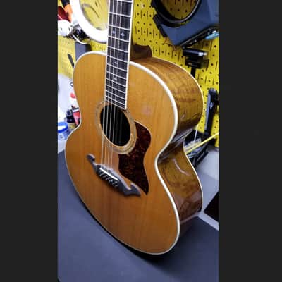 Taylor Model 855 12-String 1980 Natural image 8