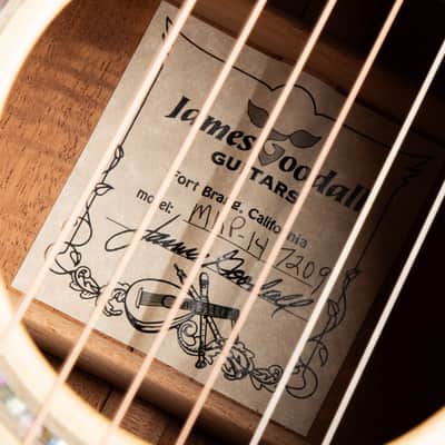 Goodall Parlor 14 Fret - Adirondack Spruce & Beeswing Mahogany image 16