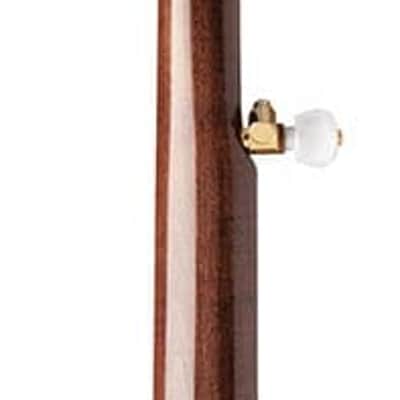 Washburn Americana Series B17K-D 5 String Banjo Sunburst image 7