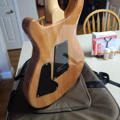 PRS custom 24 SE - Faded Blue & EXTRAS image 9