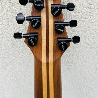 CARVIN DC 800 LEFT HANDED image 5