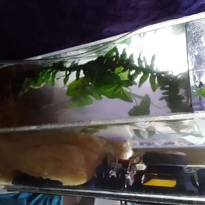 HEMPOPOTAMUS FISH TANK SPEAKER KEVLAR WOOFERS WITH RUBBER SURROUND WITH GRAVEL PUMP AND BUBBLER 1 image 13