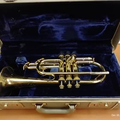 York Senator Cornet image 2