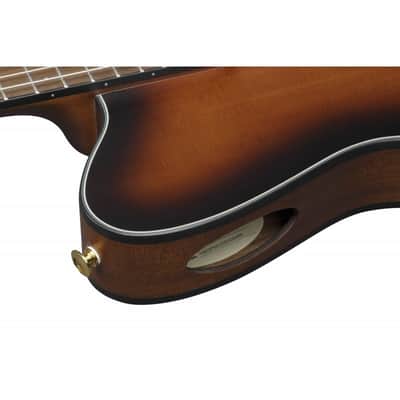 Ibanez FRH10N-BSF image 4