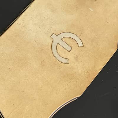 Epiphone Coronet 1966 Pickguard image 4