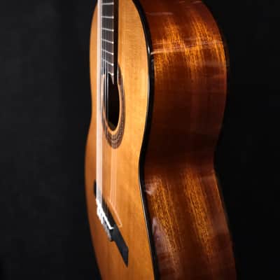 Cordboa Dolce 7/8 Nylon Guitar, Solid Cedar Top image 4