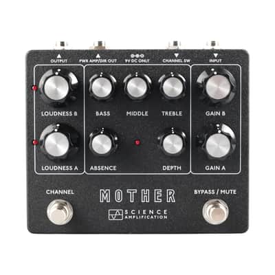 Electronic Audio Experiments / Science Amplification Mother Preamp *Authorized Dealer* FREE Shipping! image 1