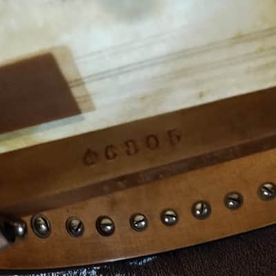 Vega Little Wonder Banjo Mandolin 1920 image 13