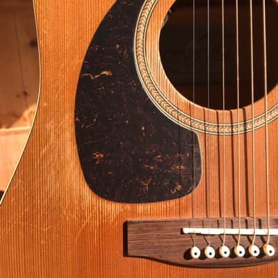 Left Handed Seagull S6+ Cedar dreadnought 2000 image 2