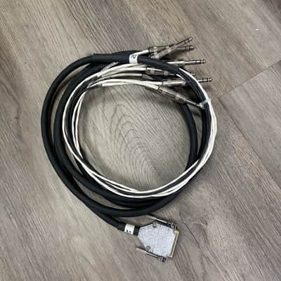 RapCo Horizon, 8CH - DB25 to TRS 10' 2015 image 1