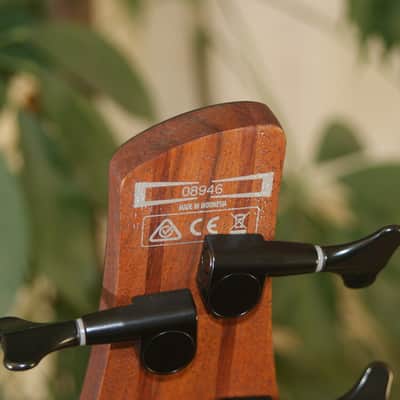 Ibanez SR 600 NTF image 9